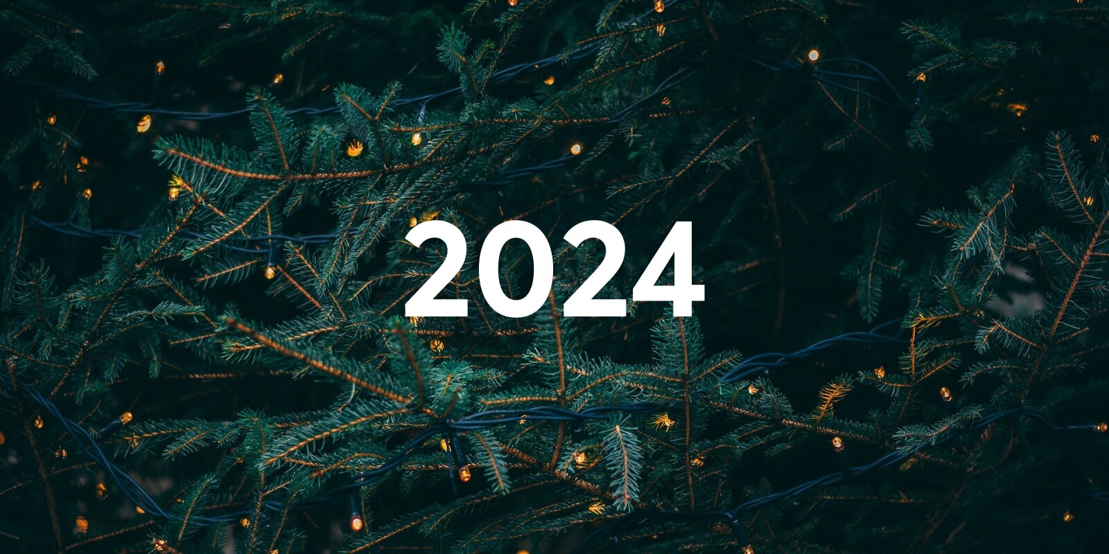 2024 New Year's Resolutions